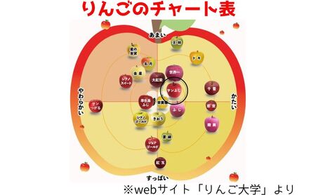 りんご 【 12月発送 】 贈答用 サンふじ 約 3kg【 弘前市産 青森りんご 】