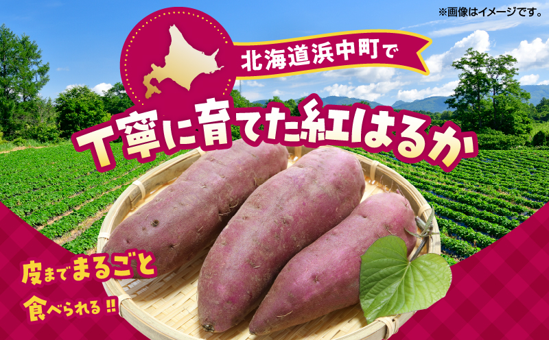 紅はるかの冷凍焼き芋(計2kg)_H0049-104