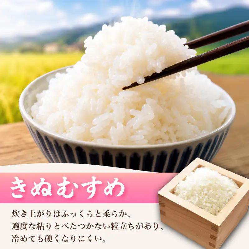 【先行予約】 きぬむすめ 10kg 隔月3回 (合計30kg) 無洗米 令和8年産 【11月以降順次発送】 山口県産 《内日三町：DZ》