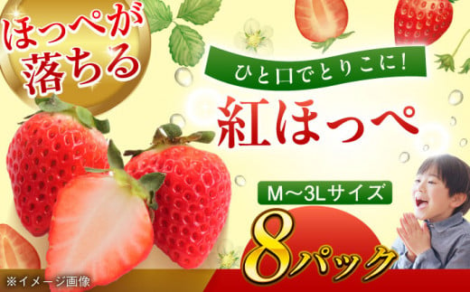 【先行予約】【2025年1月初旬より順次発送】大粒 いちご 紅ほっぺ約 2kg（270ｇ×4パック）　果物 フルーツ 苺 いちご 大粒 紅ほっぺ いちご 先行予約 イチゴ　＼レビューキャンペーン中／愛媛県大洲市/沢井青果有限会社 [AGBN027]