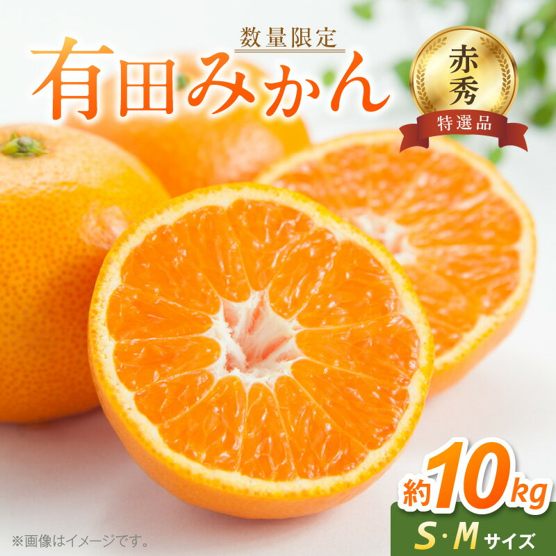 【ふるさと納税】【2025年先行予約】 【数量限定】 【赤秀 特選品】 有田みかん S,Мサイズ約10kg 【ミカン 柑橘 温州みかん 和歌山 贈答 ギフト】