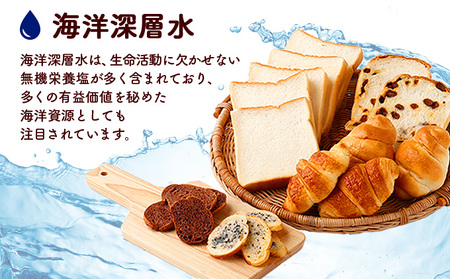 リピーター続出！！室戸海洋深層水仕込み＜おまかせパンセット＞ _rm004