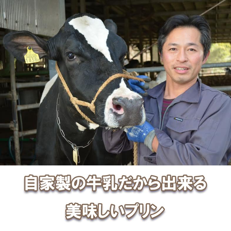 CK018_牧場プリン3　甘さ控えめプリン詰合せ