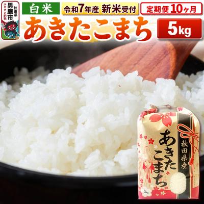 ふるさと納税 男鹿市 新米受付《定期便10ヶ月》【白米】秋田県産 あきたこまち 5kg|23_kml-030510s