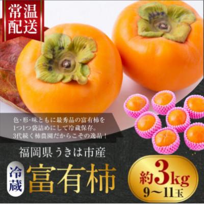 ふるさと納税 うきは市 【先行予約】西見柿農園 冷蔵富有柿 9玉から11玉(約3kg)【2026年12月下旬〜発送予定】 |  | 01