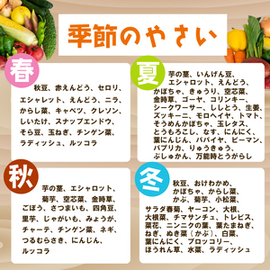野菜詰め合わせ 定期便 7品~8品 ｜ 野菜詰め合わせ 野菜セット 野菜定期便 野菜定期便 野菜定期便 定期便 定期便 高知県 NPO22000