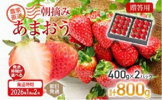 
            朝摘みあまおう 800g ※2026年1月or2月中順次出荷予定 BD01
          