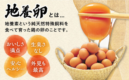 【黄身がつかめる最高級の卵】【12回定期便】かきやまの「地養卵」 Mサイズ 40個×12回定期便＜垣山養鶏園＞ [CBB020]