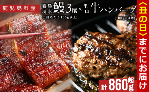 【丑の日までに配送】鹿児島県産 霧島湧水鰻3尾(1尾156g)×里山牛100%手作りハンバーグ4個(1個100g) (総計860g以上) うなぎ 鰻 ウナギ 蒲焼き 真空パック うな丼 鰻重 牛 牛肉 鹿児島県産 国産 ハンバーグ 100% b6-019-us