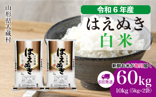 ＜令和6年産米＞ 令和6年12月上旬より配送開始 はえぬき【白米】60kg定期便(10kg×6回)　大蔵村