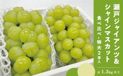 【特選品】瀬戸ジャイアンツ＆シャインマスカット 特大2房入/計1.3kg~ (岡山県産)【KF-B079-01】
