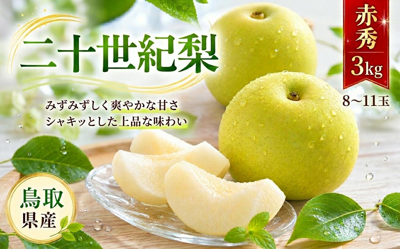 
                  【2027年発送分先行受付】二十世紀梨(赤秀) 3kg
                