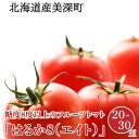 【ふるさと納税】【2024年発送】糖度8度以上 フルーツトマト はるか8（エイト）20～30玉 北海道 美深町産 トマト 野菜 夏　 北海道野菜 旬の野菜 甘い みずみずしい 極上トマト 　お届け：2024年7月上旬～2024年10月上旬まで