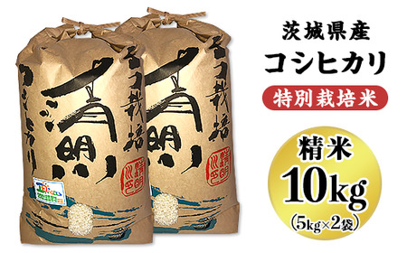 04-02 茨城県特別栽培認証 清明川コシヒカリ白米5kg×2袋【令和6年産新米】【米 おこめ こしひかり  特別栽培米 農家直送 直送 茨城県 阿見町】