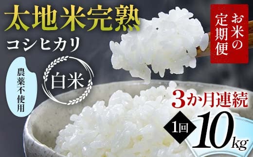 
            お米の定期便 農薬不使用米 太地米完熟 【こしひかり】 白米10kg×3か月連続 ブランド米 お米 精米 白米 人気 F7X-0420
          
