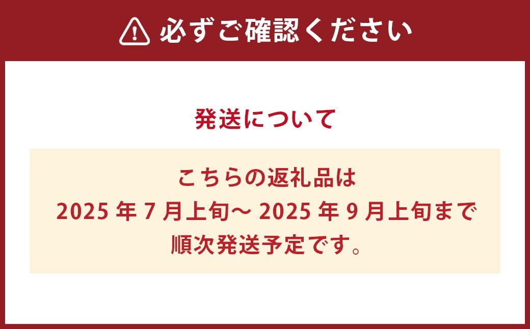 【訳あり】岡山白桃（家庭用）1.2kg以上  サイズ不揃い