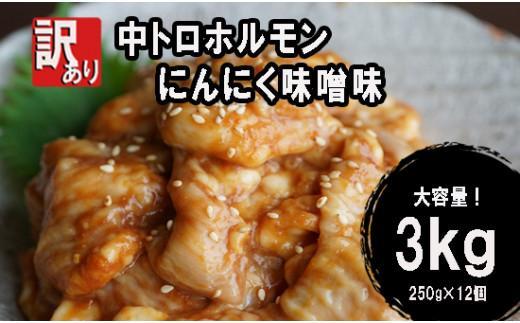 【ふるさと納税】 【 訳あり 】 中トロ ホルモン 3kg(250g×12) にんにく 味噌味 焼肉 ホルモン焼き 不揃い シマ腸 シマチョウ 小腸 おつまみ おかず お惣菜 味噌 味付 小分け 冷凍 牛 内臓 肉