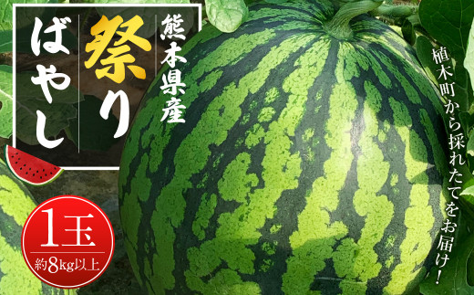 ＜ R8年熊本地震復興支援 ＞スイカ 祭りばやし 1玉 (8kg以上) 【2027年5月上旬発送予定】 すいか 西瓜 果物 くだもの フルーツ