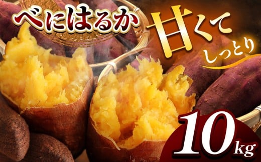 甘くておいしい！べにはるか 10kg  先行予約 ＜ 2025年9月中旬 ～ 12月 の期間より順次発送予定 ＞｜ さつまいも サツマイモ 芋 いも 野菜 紅はるか べにはるか 1kg 5kg 10kg