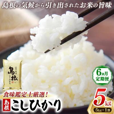 ふるさと納税 安来市 【毎月定期便】食味鑑定士厳選　島根こしひかり 5kg(5kg×1袋)(安来市)全6回