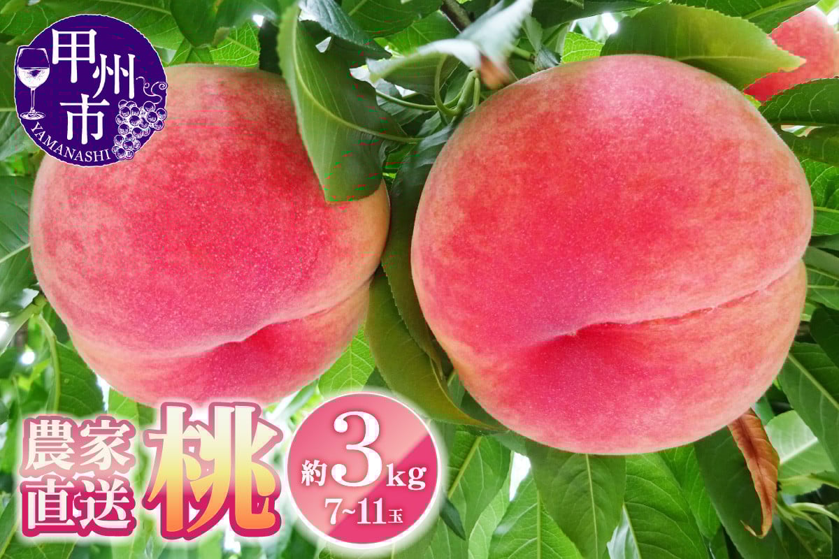 
            農家直送 桃 約3kg 7～11玉【2025年発送】（YKI）B15-990【桃 もも モモ 令和7年発送 期間限定 山梨県産 甲州市 フルーツ 果物】
          