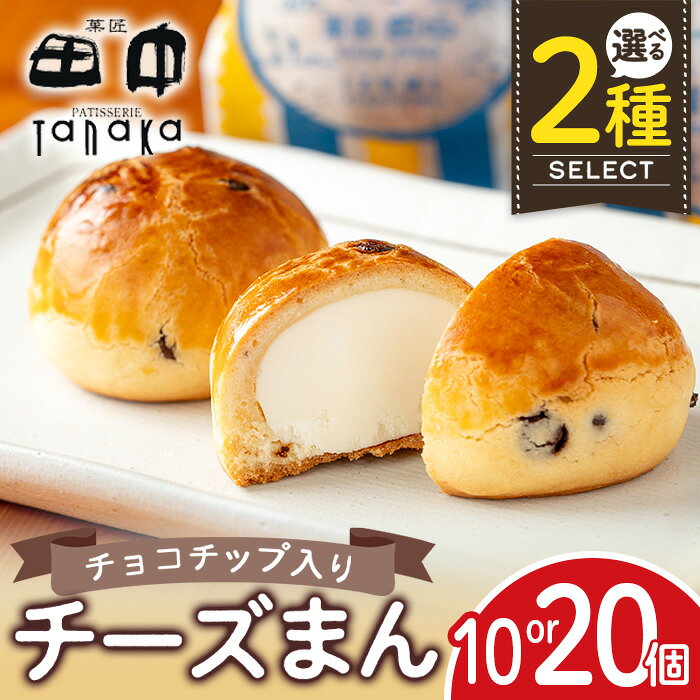 【ふるさと納税】＜個数を選べる！＞チーズまん(10個or20個) お菓子 菓子 チーズ 洋菓子 和菓子 まんじゅう お菓子 スイーツ 個包装 チョコチップ ビスケット生地 チーズクリーム 洋風饅頭 ギフト 贈り物 おやつ 【菓匠田中】