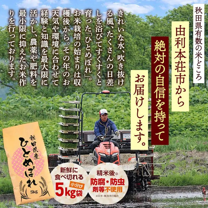 《1回のみお届け》令和7年産 【無洗米】通算5回特A 秋田県産ひとめぼれ 10kg(5kg×2袋) 配送時期選べる お米 米 こめ 藤岡農産