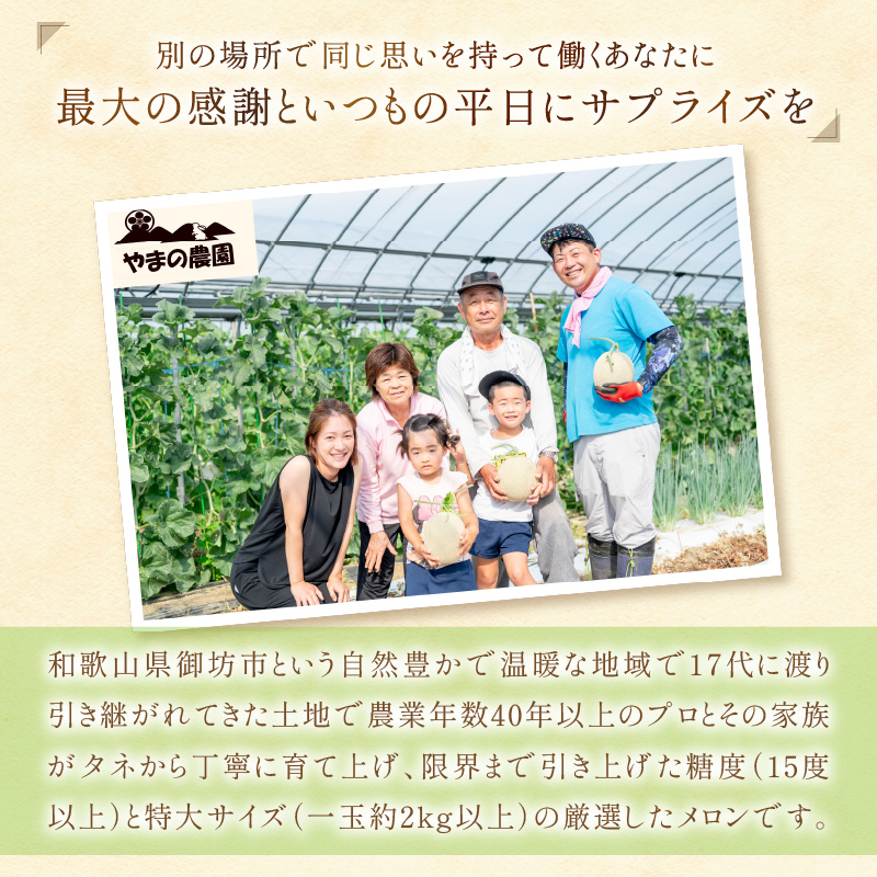 【0925-3】やまの農園　感謝のメロン～一期一会「うしわか」～（先行予約2025年7月中旬より順次発送予定）