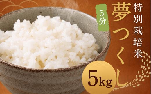 【令和8年度産先行予約】【5分】 夢つくし （特別栽培米） 約5kg 福岡県産 米 こめ 令和8年度産 コメ