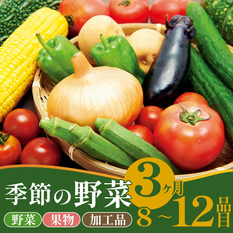【ふるさと納税】 野菜 定期便 3回 8〜12種類 旬 おまかせ 野菜BOX 詰め合わせ 野菜定期便 ふるさと納税野菜 やさい 詰め合わせ セット 産地直送 新鮮 新潟 新発田 seida009_01