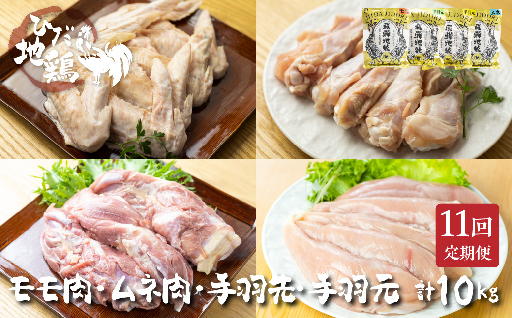 
                  鶏肉 定期便 お楽しみ 地鶏 定期便11回 飛騨地鶏 モモ肉 手羽元 手羽先 ムネ肉 約10kg 国産 国産地鶏
                