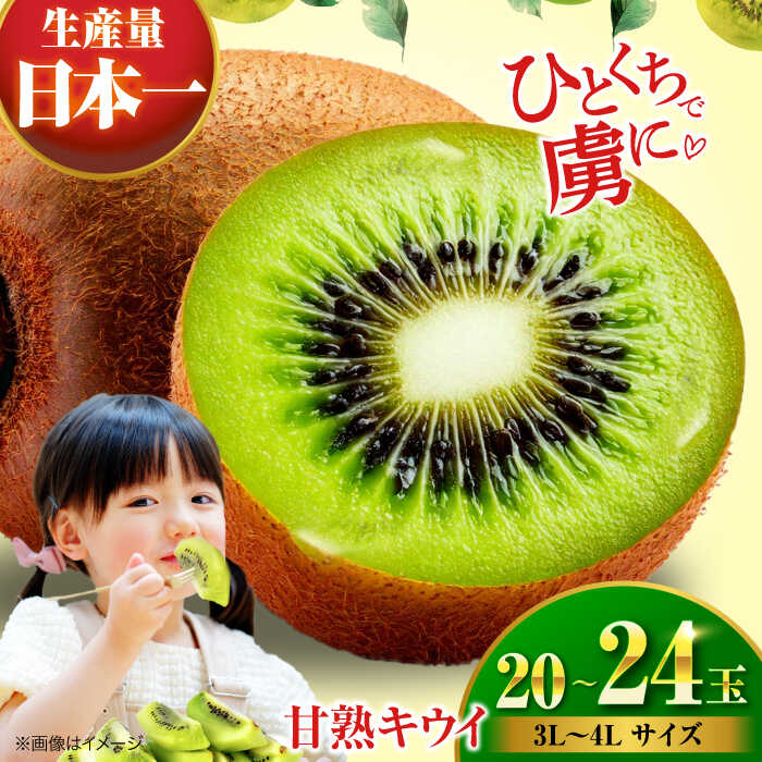 【ふるさと納税】【先行予約】【2026年1月上旬より順次発送】甘熟 キウイ フルーツ 20 から 24玉（ 3L から 4L サイズ） | 人気 おすすめ ランキング おいしい 甘い 大洲市/沢井青果[AGBN001] 10000 10000円 以上
