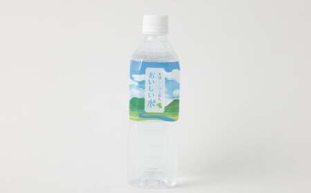 【4ヶ月定期便】大分 ここのえ育ち おいしい 水 500ml×24本 合計96本