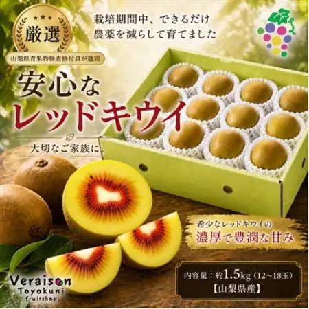 レッドキウイフルーツ化粧箱入り　産地直送約1.5kg(12～18玉)【配送不可地域：離島】【1178165】