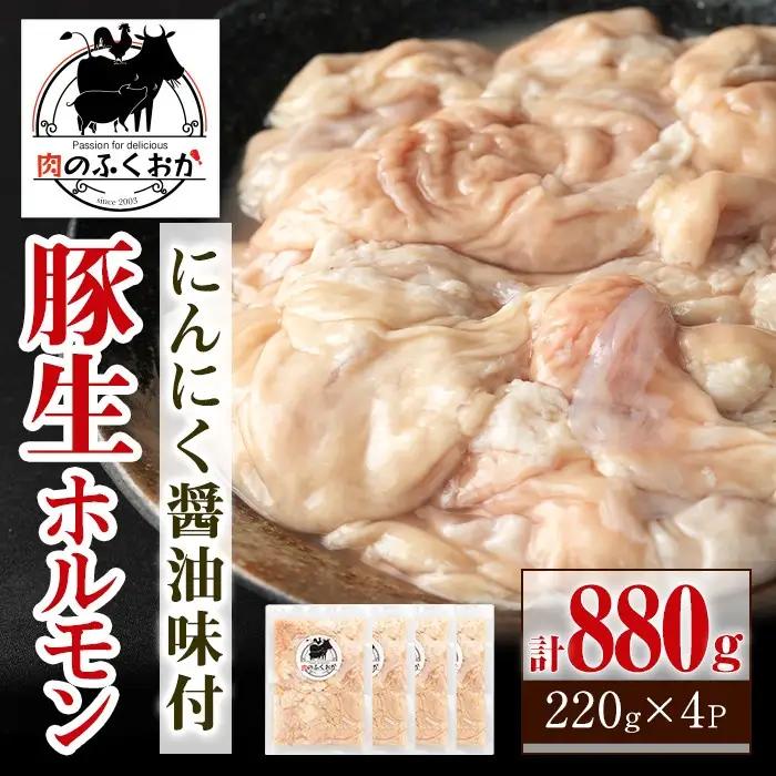 豚ホルモン にんにく 醤油味 計880g 生ホルモン 豚肉 冷凍【肉のふくおか】P79005