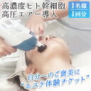 【ふるさと納税】高濃度ヒト幹細胞高圧エアー導入体験チケット(1名様 1回分) 施術券 利用券 体験 チケット 幹細胞導入機器 導入マシン フェイシャル 美容 エステ サロン【m40-03】【River field】