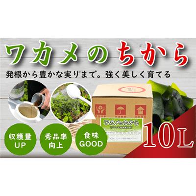 ふるさと納税 板野町 ワカメのちから　10L箱