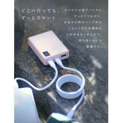 ふるさと納税 守口市 CIO 充電ケーブル USB-C スパイラルケーブル CtoC 1m (カームブルー) |  | 03
