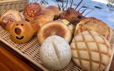 【卵不使用 国産小麦100％使用】冷凍パン おまかせ10個と食パン1斤セット 島根県雲南市/有限会社三ツ和[AIDE002]