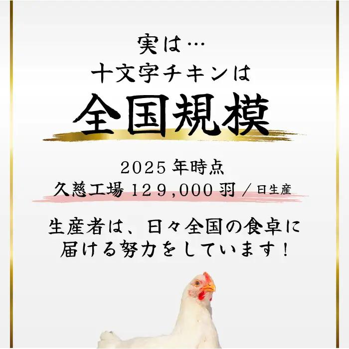 鶏肉 もも【翌月下旬発送】岩手県産若鶏 もも肉３kg 小分け 鶏肉