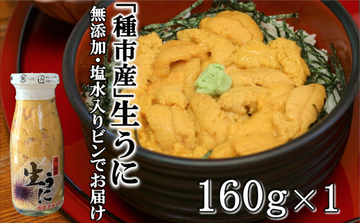 「種市産」天然生うに 160ｇ×1本 ミョウバン不使用 無添加 本州一 増殖溝 北三陸 塩水 牛乳瓶入り 雲丹