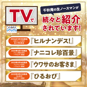【2025年7月発送】◆オンラインでのお取り寄せは札幌市ふるさと納税だけ!◆TVで話題！札幌千秋庵 生ノースマン 4個入り 4箱 合計16個 銘菓 パイまんじゅう 菓子 北海道 人気 スイーツ スイー