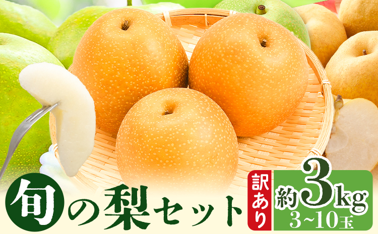 【2026年先行予約】訳あり 鳥取県産 旬の梨セット 約3kg (3~10玉) 高間商店 《2026年8月下旬-12月上旬頃出荷予定》鳥取県 八頭町 梨 なし 果物 フルーツ 幸水 豊水 秋栄梨 秋甘泉 新甘泉 新高梨 あたご梨 王秋梨 先行予約st-p