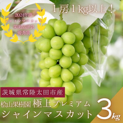 【ふるさと納税】【数量限定!】桧山果樹園のプレミアムシャインマスカット　3房(約3kg以上)【配送不可地域：離島・沖縄県】【1645138】