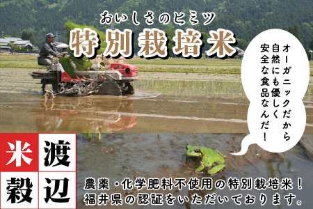 【先行予約】【令和6年産・新米】（白米）農薬・化学肥料不使用 コシヒカリ匠 20kg (2kg × 10袋)【2024年10月上旬以降順次発送予定】 [G-2903_01]