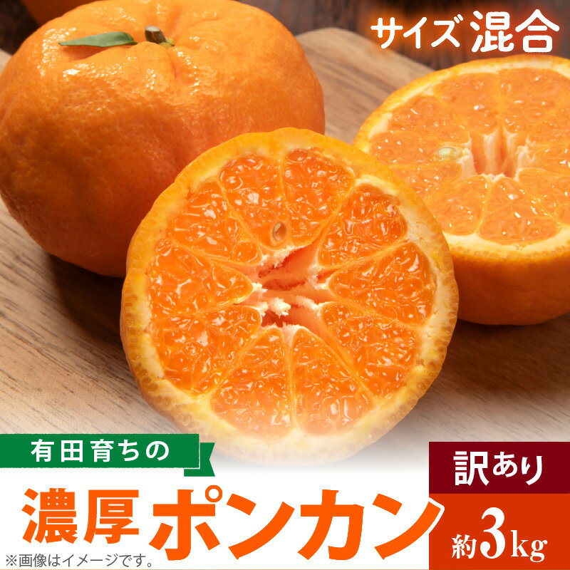 【ふるさと納税】【限定】 【2026年先行予約】【極甘柑橘】 有田育ちの 濃厚 ポンカン 【訳あり 家庭用】3kg (サイズ混合)