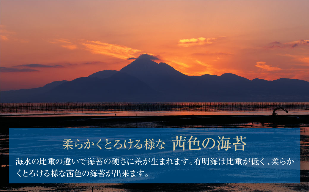 有明海産 焼き海苔 ボトル4本（10切100枚×4本 計400枚)定期便(毎月×6回)