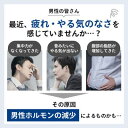 【ふるさと納税】男性更年期のセルフチェックに!筋トレなどの運動の成果確認に!!【毛髪ホルモン量測定キット～テストステロン～】　 健康 男性ホルモン 検査キット 4段階評価 毛髪ホルモン検査 更年期チェック 　お届け：ご入金後、1～2週間後に発送