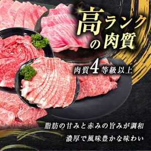 数量限定！選べる 極上牛肉 やまぐち和牛 燦 (きらめき) カレー煮込み用 1200g