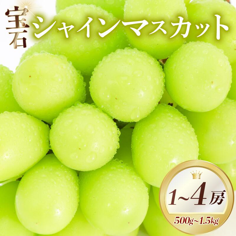 【ふるさと納税】 【 先行予約 】 シャインマスカット 500g~1.5kg 1~4房 8月中旬 お届け 選べる容量 マスカット シャインマスカット ぶどう ブドウ くだもの フルーツ 果物 2026 高級 贈答 プレゼント 暑中見舞い 家庭用 旬 期間限定 数量限定 予約販売 大阪府 松原市